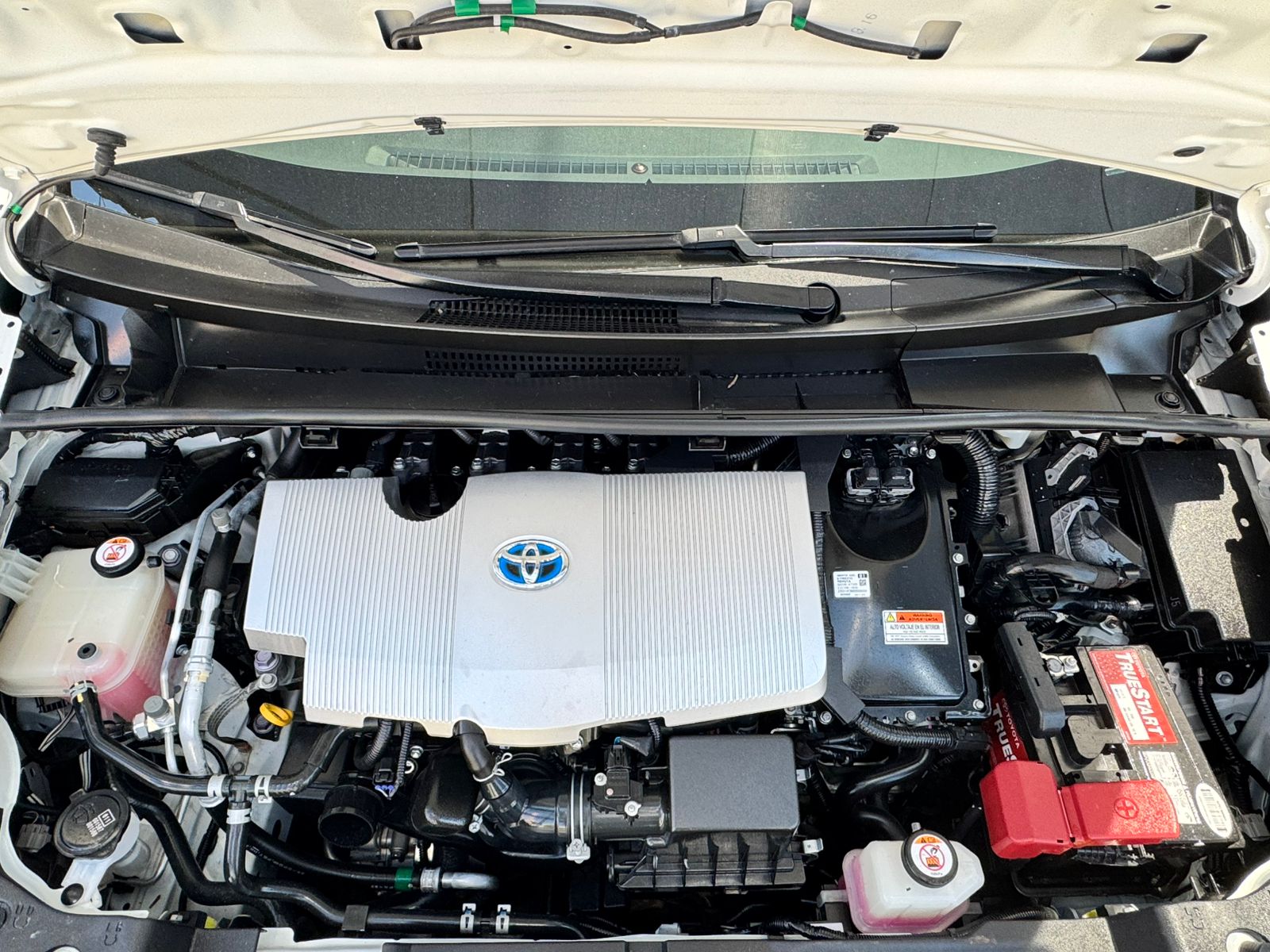 WhatsApp Image 2026-04-09 at 2.12.36 PM (1)