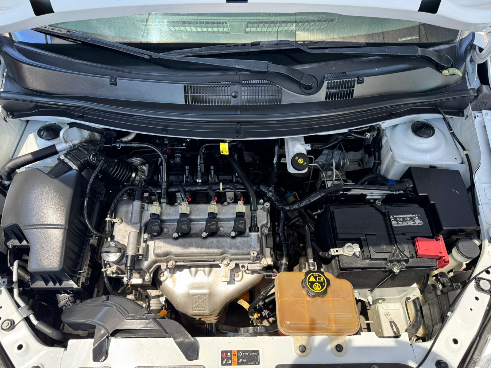 WhatsApp Image 2026-04-09 at 2.12.36 PM